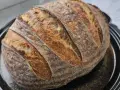 Pan rústico con corteza dorada y alveolos pronunciados, resultado de cómo hacer pan con masa madre.