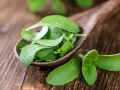 Hojas verdes de stevia en una cuchara de madera. Descubre qué es la stevia, un edulcorante natural.
