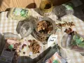 Ingredientes para una deliciosa receta de granola casera: avellanas tostadas, semillas de cáñamo, chía, calabaza, nuez pecan y crema de pistacho.