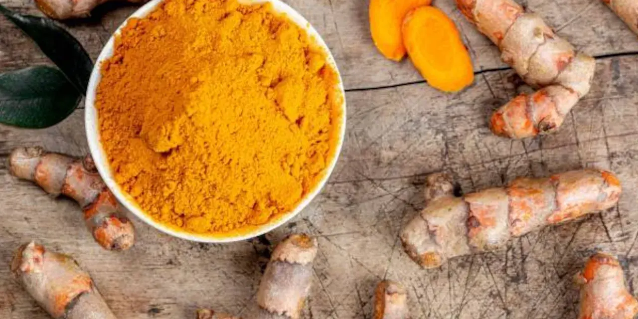 Raíces de cúrcuma y polvo dorado en un cuenco. Descubre qué es la cúrcuma y para qué sirve, un tesoro natural.