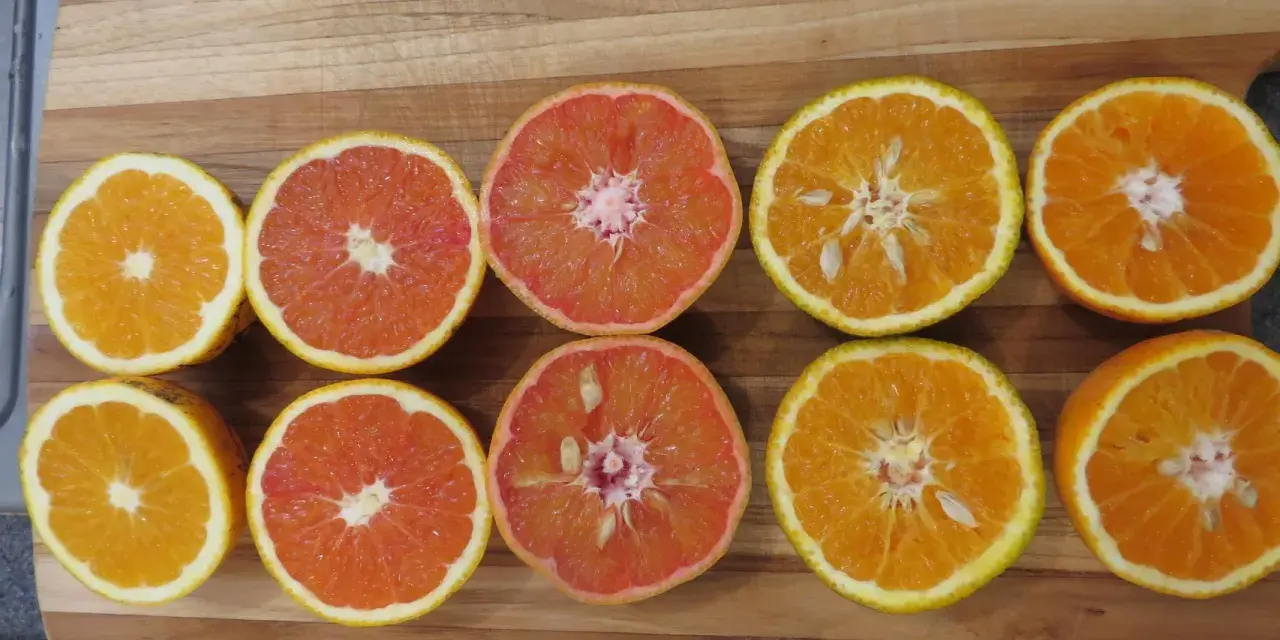Mitades de naranjas y toronjas en una tabla de madera. La naranja sirve para aportar vitamina C y un sabor refrescante a tus comidas.