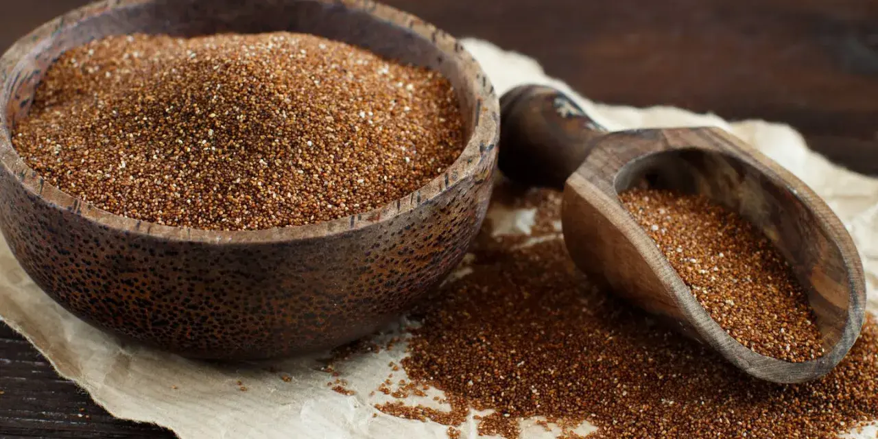Un cuenco de madera lleno de teff cereal y una pala de madera con más granos.