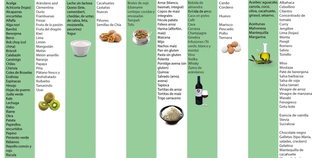 Lista de alimentos permitidos en dieta baja en FODMAPS: verduras, frutas, lácteos, frutos secos, legumbres, cereales, bebidas, carnes, pescados, huevos, aceites y otros.