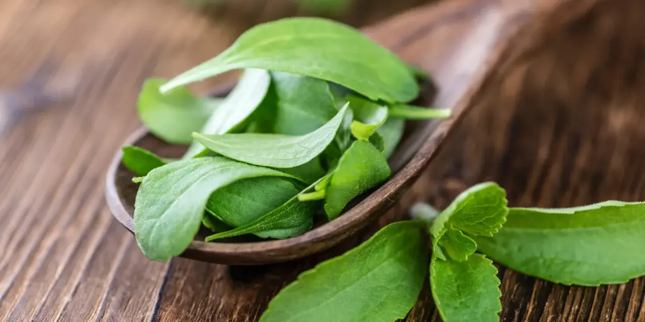 Hojas verdes de stevia en una cuchara de madera. Descubre qué es la stevia, un edulcorante natural.