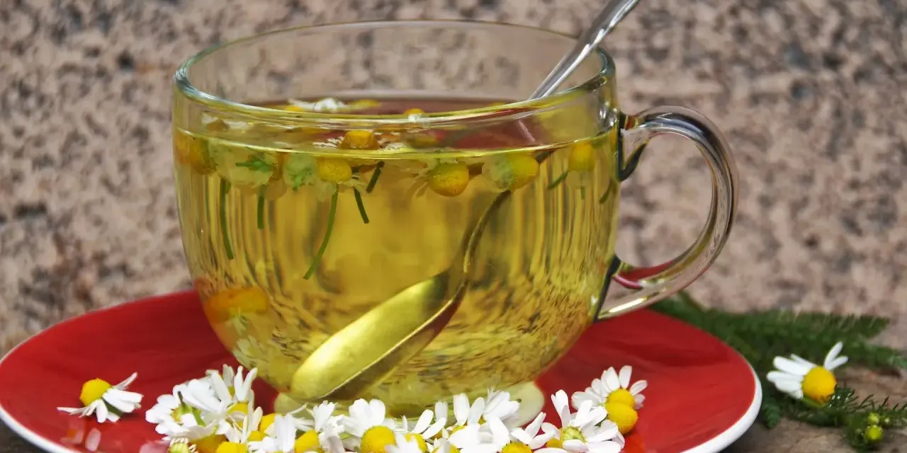 Té de manzanilla en una taza de cristal, con flores frescas y una cuchara. Es bueno para el estómago.