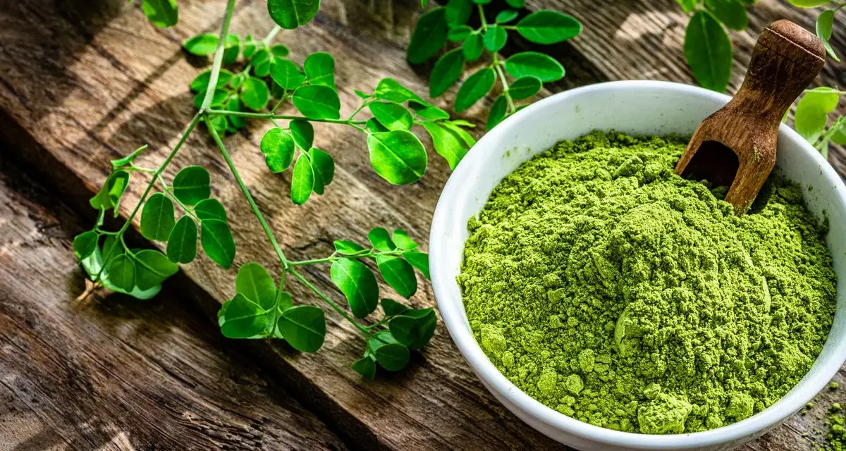 Polvo verde vibrante de planta moringa en un cuenco blanco, junto a ramas frescas de la planta moringa sobre madera rústica.