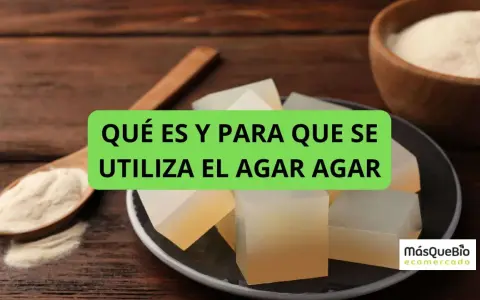 Cubos de gelatina y polvo de agar agar, ideal para tus recetas.