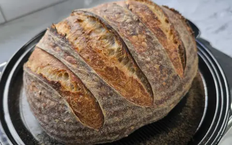 Pan rústico con corteza dorada y alveolos pronunciados, resultado de cómo hacer pan con masa madre.