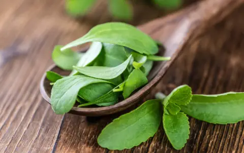 Hojas verdes de stevia en una cuchara de madera. Descubre qué es la stevia, un edulcorante natural.