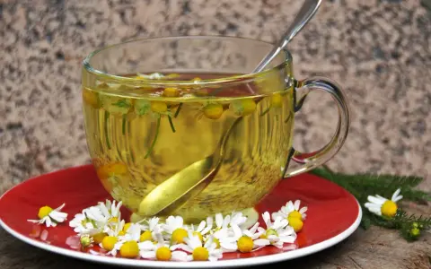 Té de manzanilla en una taza de cristal, con flores frescas y una cuchara. Es bueno para el estómago.