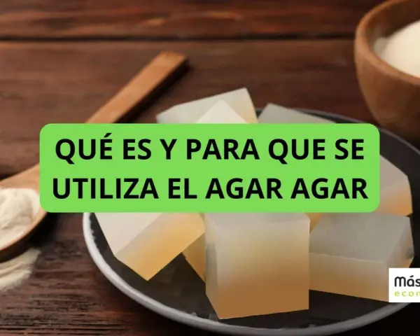 Cubos de gelatina y polvo de agar agar, ideal para tus recetas.