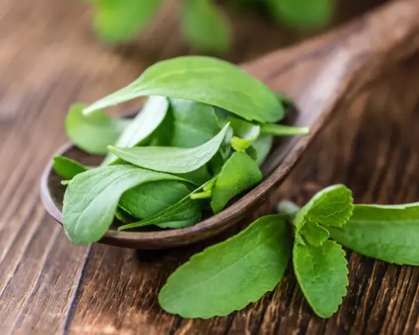 Hojas verdes de stevia en una cuchara de madera. Descubre qué es la stevia, un edulcorante natural.