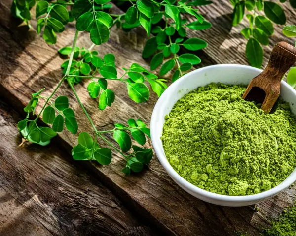 Polvo verde vibrante de planta moringa en un cuenco blanco, junto a ramas frescas de la planta moringa sobre madera rústica.