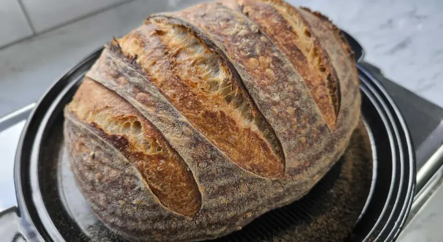 Pan rústico con corteza dorada y alveolos pronunciados, resultado de cómo hacer pan con masa madre.