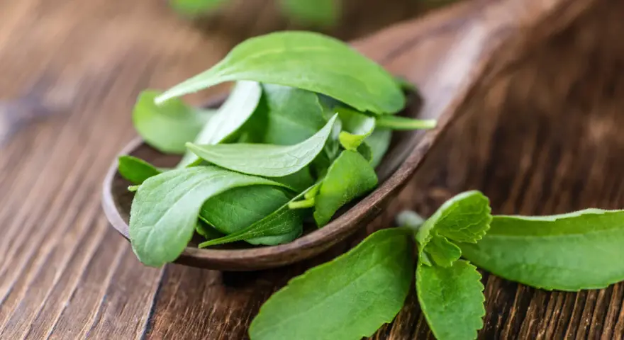 Hojas verdes de stevia en una cuchara de madera. Descubre qué es la stevia, un edulcorante natural.