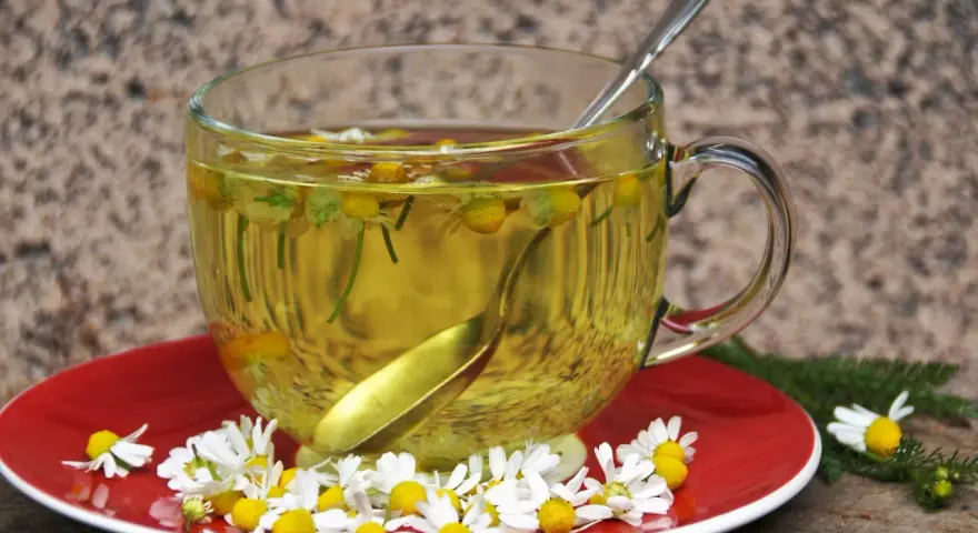 Té de manzanilla en una taza de cristal, con flores frescas y una cuchara. Es bueno para el estómago.
