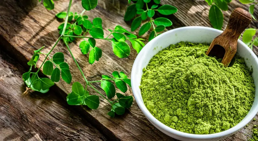 Polvo verde vibrante de planta moringa en un cuenco blanco, junto a ramas frescas de la planta moringa sobre madera rústica.