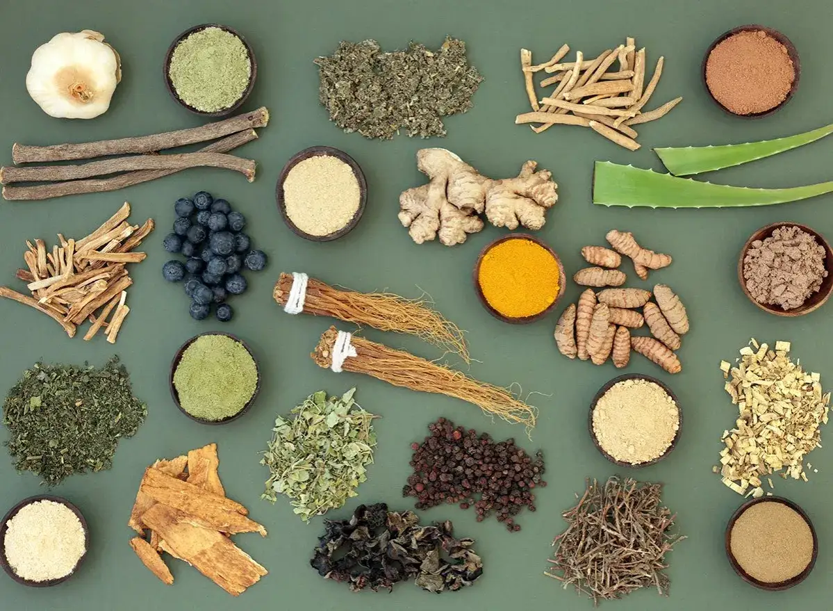 Variedad de adapt&oacute;genos naturales: ra&iacute;z de ginseng, c&uacute;rcuma, jengibre, ar&aacute;ndanos, regaliz, aloe vera y hierbas en polvo y secas.