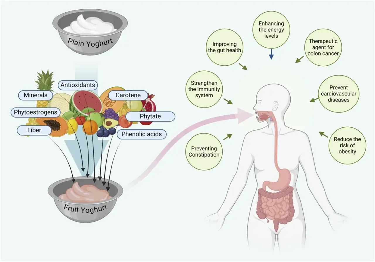 Yogur de frutas con minerales, fibra y antioxidantes, que ayuda a mejorar la salud intestinal y previene el estreñimiento, además de ofrecer zumos astringentes beneficiosos.